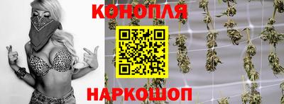 гидра Балашиха