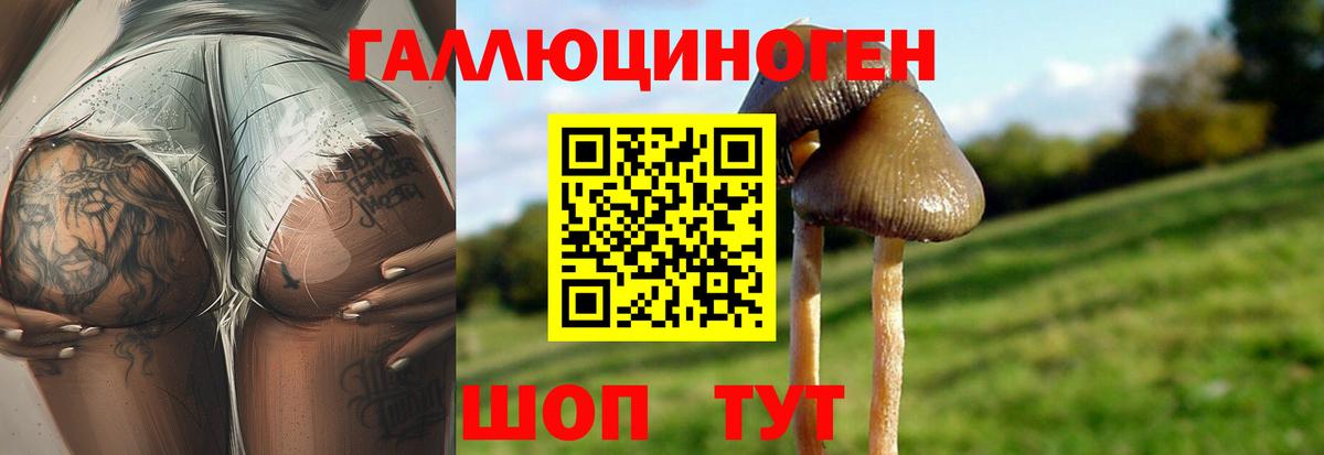 Железногорск  Галлюциногенные грибы мухоморы  Вход с VPN  Псилоцибиновые грибы GOLDEN TEACHER 